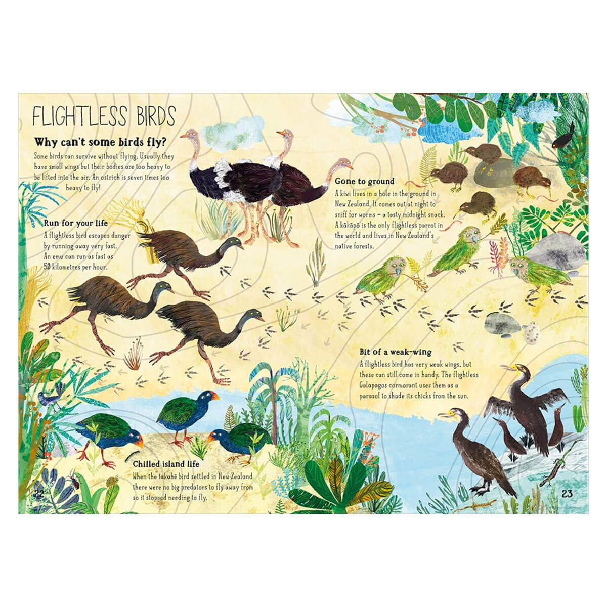 The Big Book of Birds by Yuval Zommer