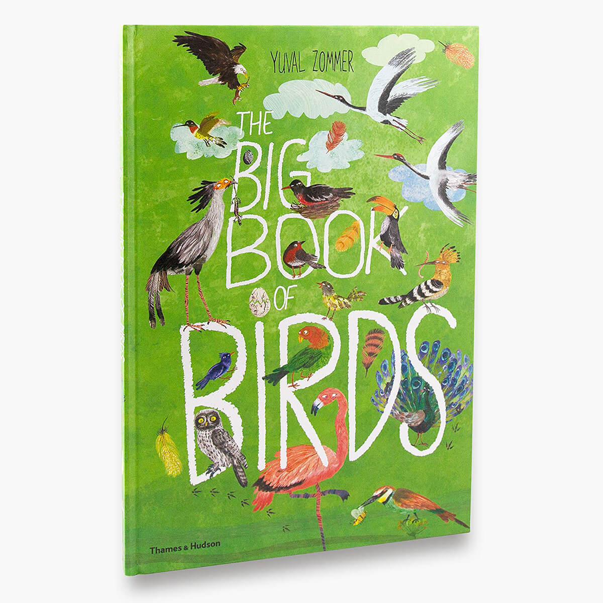 The Big Book of Birds by Yuval Zommer