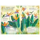 The Big Book of Blooms by Yuval Zommer