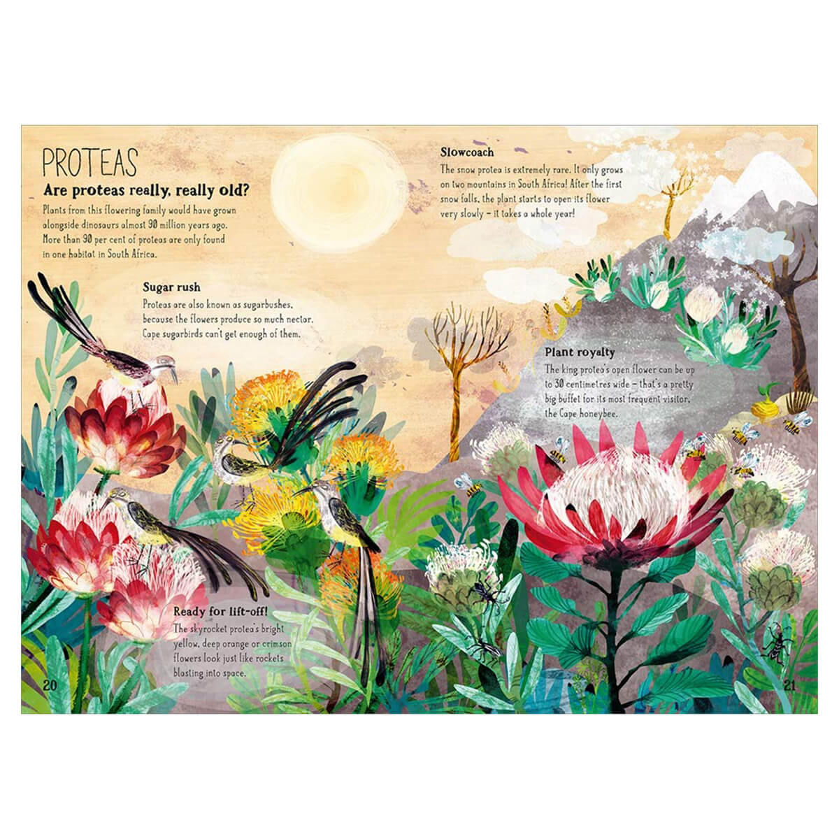 The Big Book of Blooms by Yuval Zommer