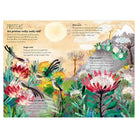 The Big Book of Blooms by Yuval Zommer