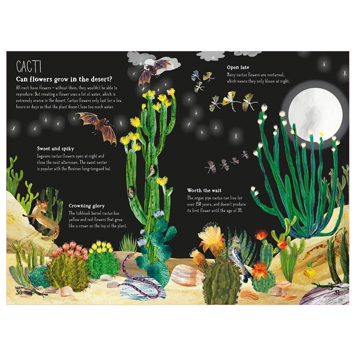 The Big Book of Blooms by Yuval Zommer