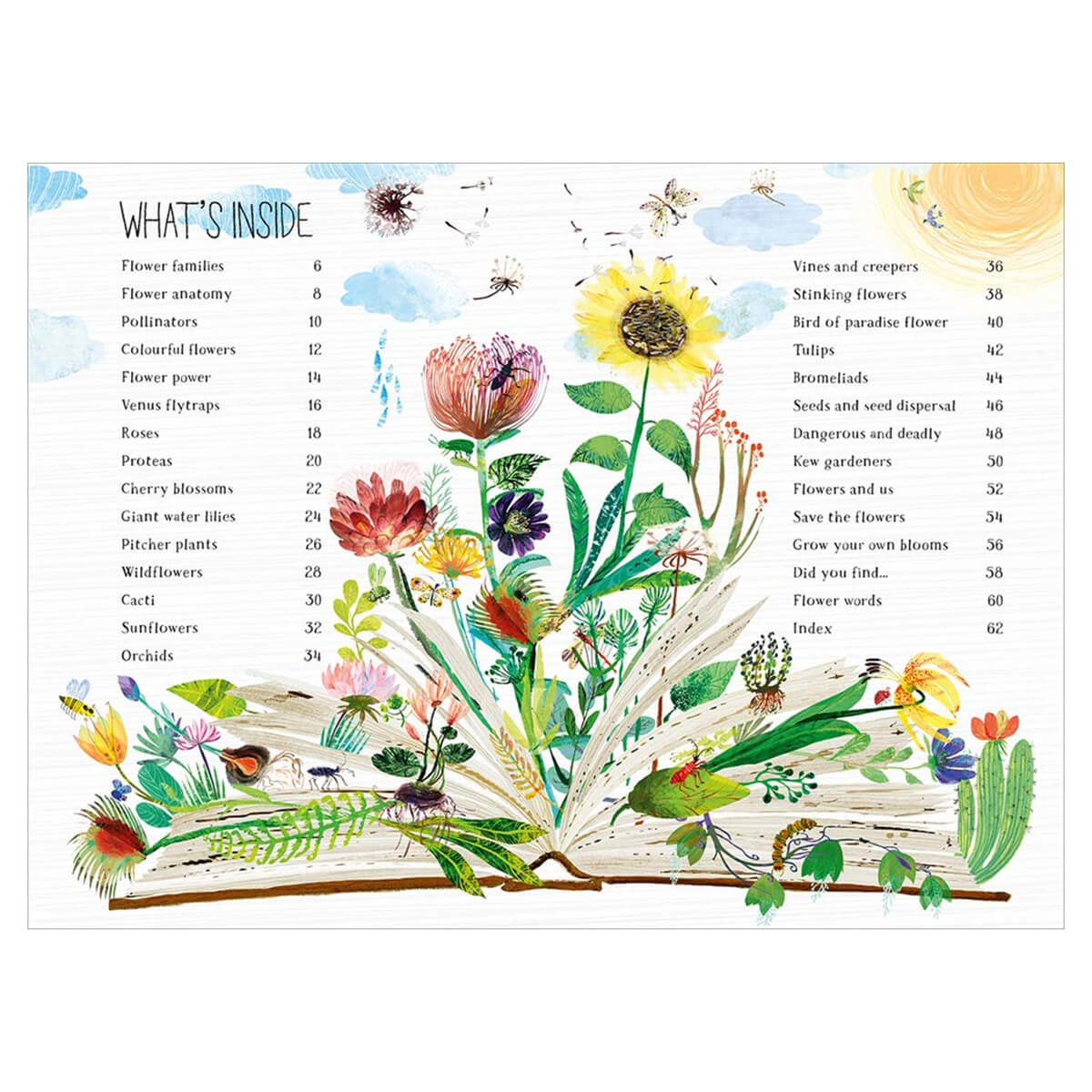 The Big Book of Blooms by Yuval Zommer