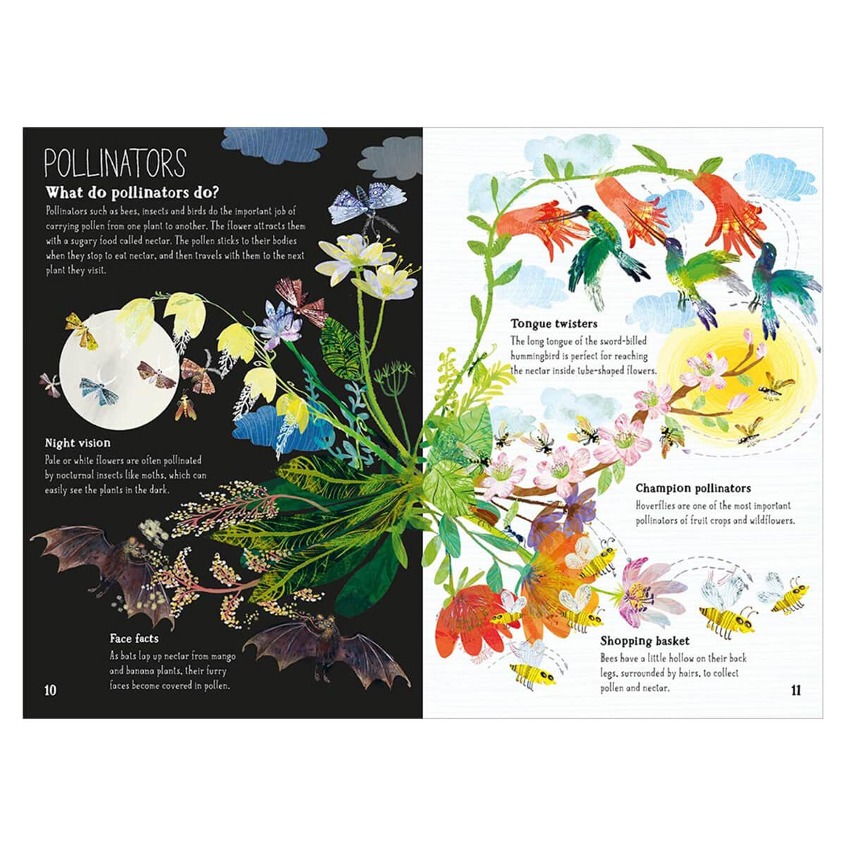 The Big Book of Blooms by Yuval Zommer