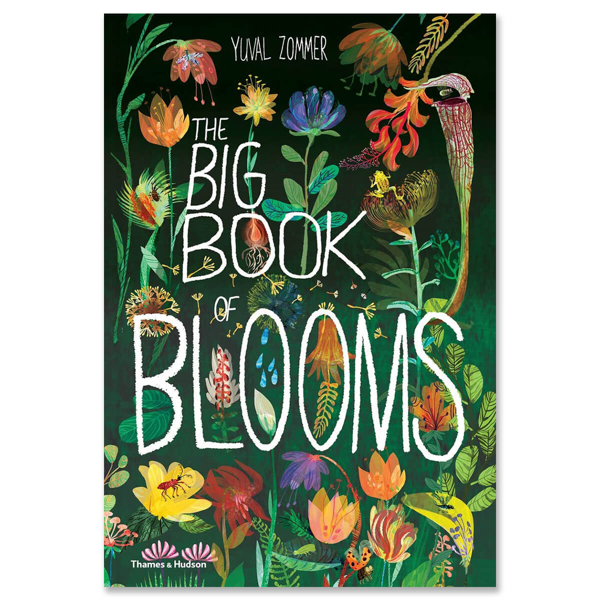 The Big Book of Blooms by Yuval Zommer