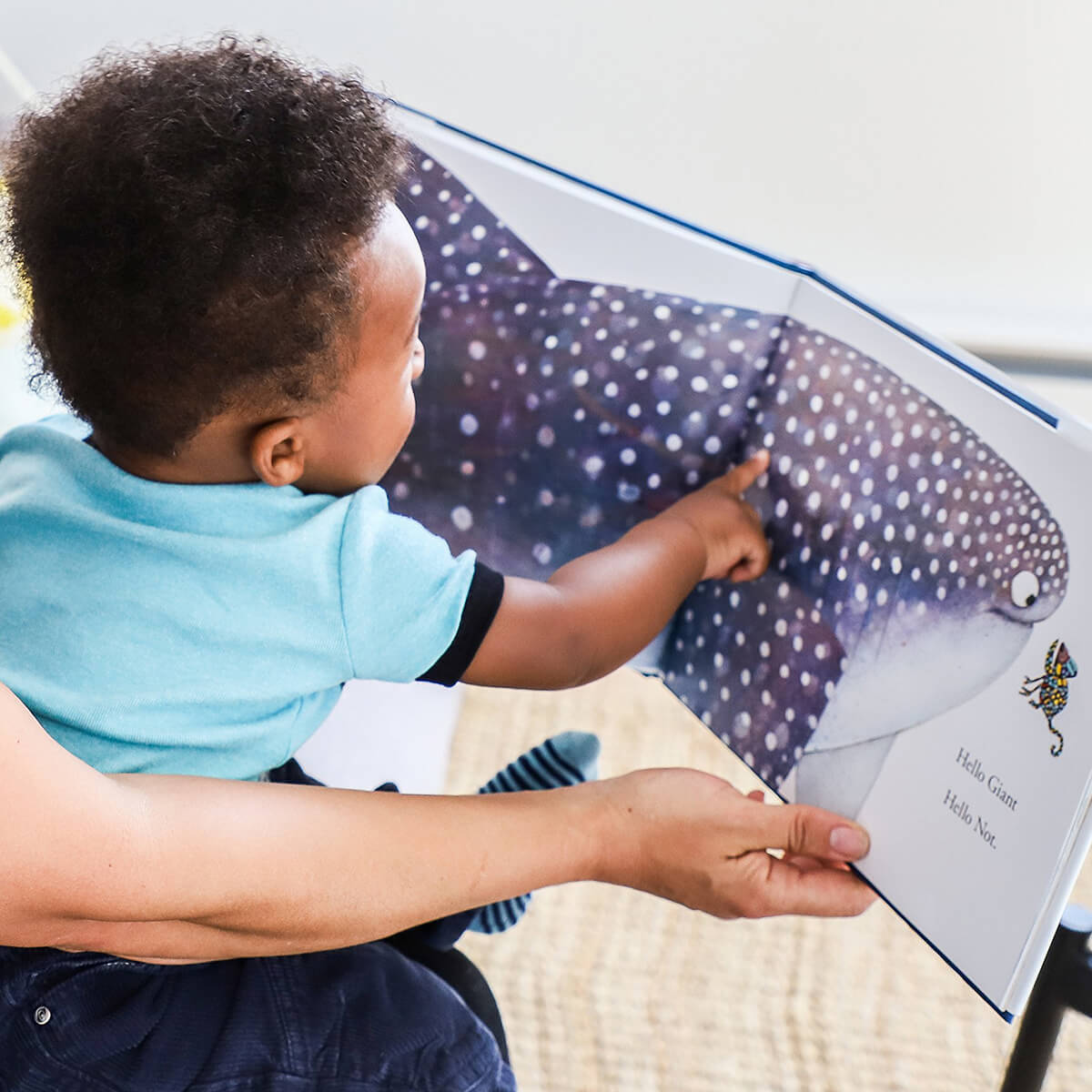 Hello Hello by Brendan Wenzel (Hardback)