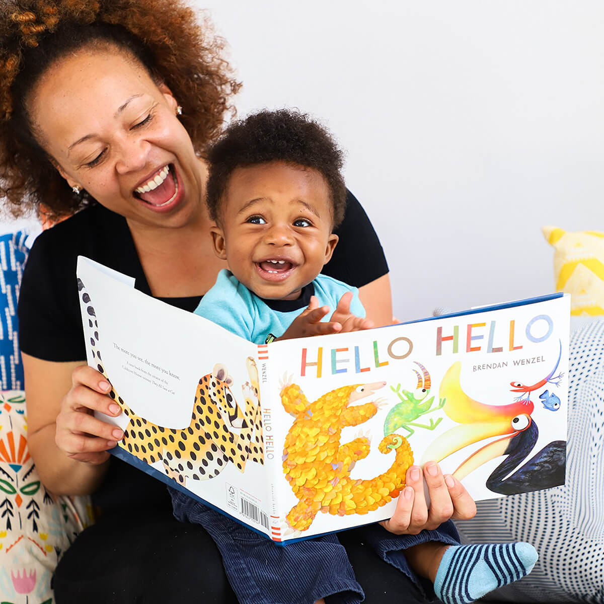 Hello Hello by Brendan Wenzel (Hardback)