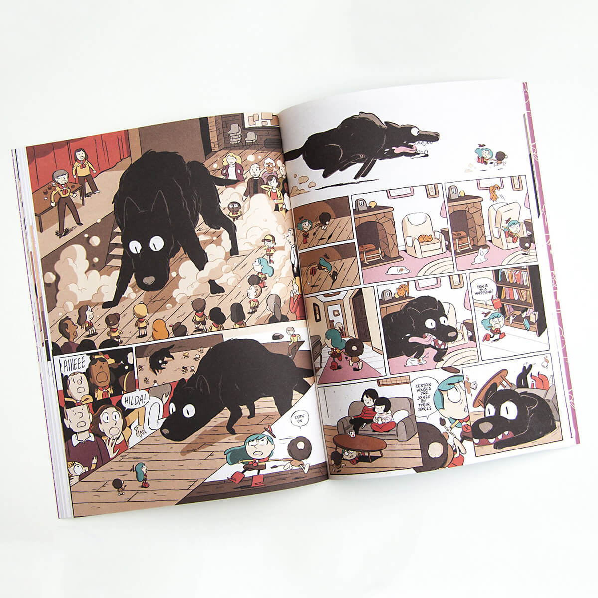 Hilda And The Black Hound by Luke Pearson