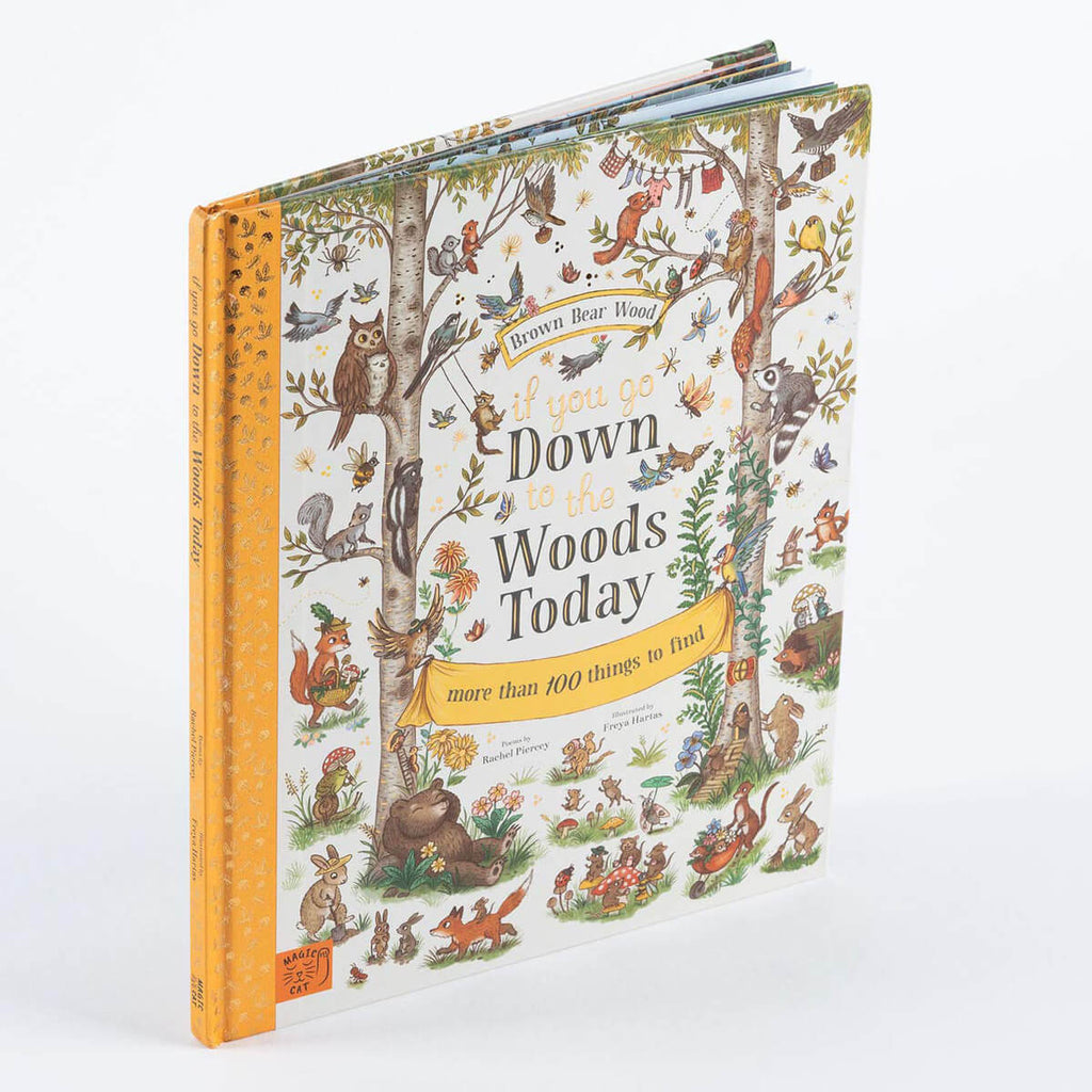 If You Go Down In The Woods Today by Rachel Piercey and Freya Hartas