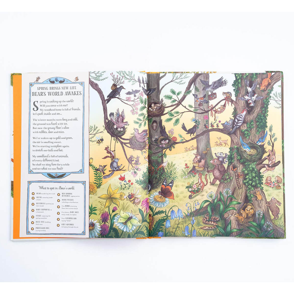 If You Go Down In The Woods Today by Rachel Piercey and Freya Hartas