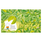 Keep An Eye On Ivy by Barroux