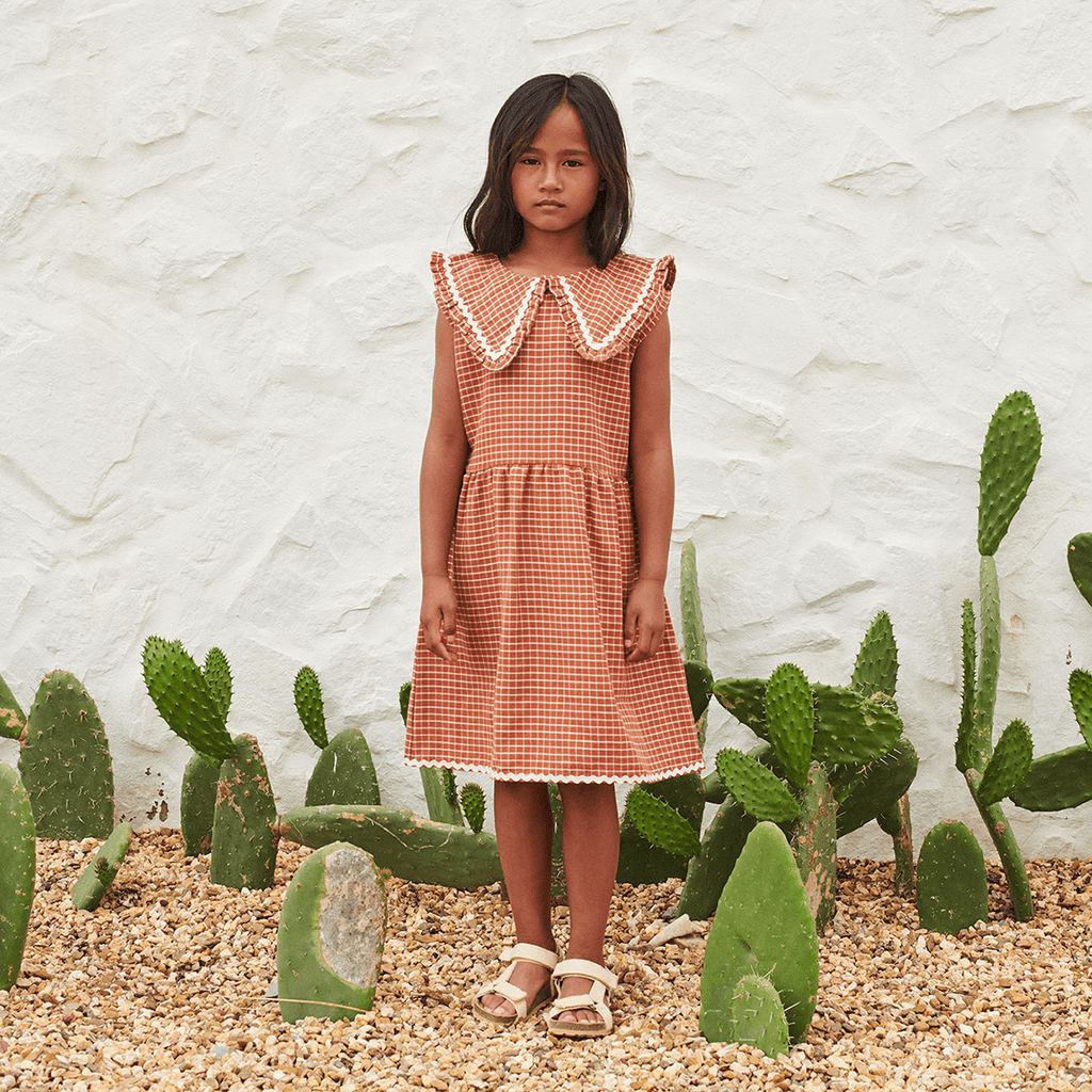 Camila Dress in Check by Liilu