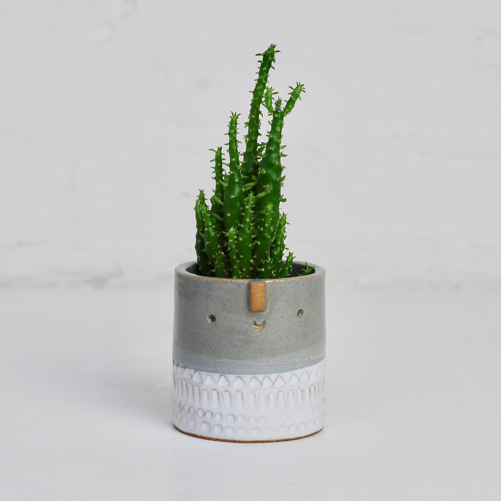 Mini Succulent Pot in Blue-Grey / White Stamped by Atelier Stella