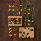 Woodland Leaves by Moon Picnic