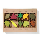 Woodland Leaves by Moon Picnic