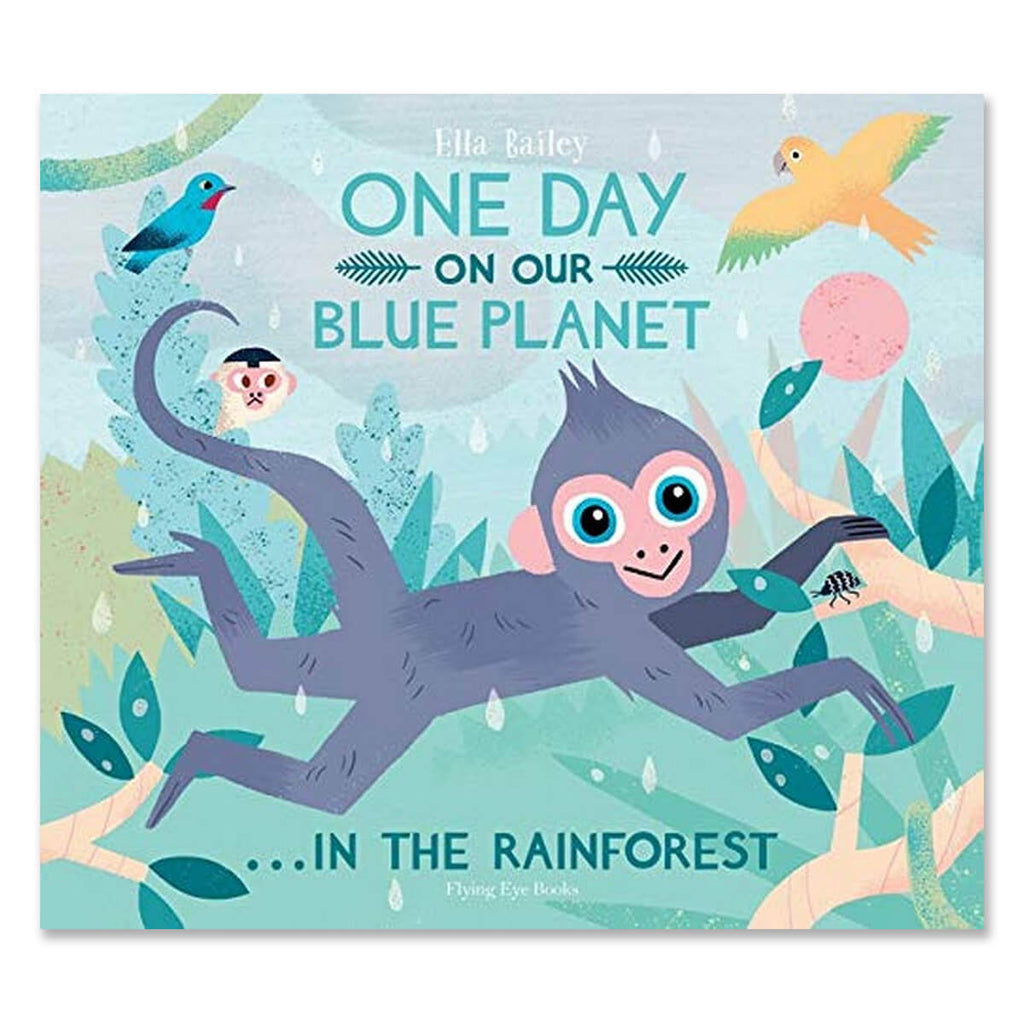 One Day On Our Blue Planet: In The Rainforest by Ella Bailey