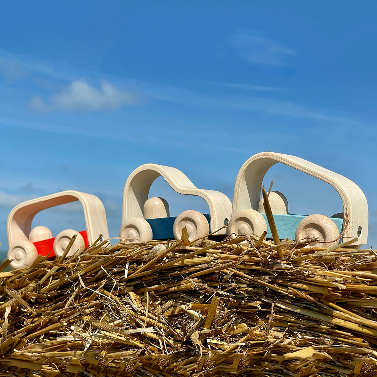 Vroom Car by PlanToys