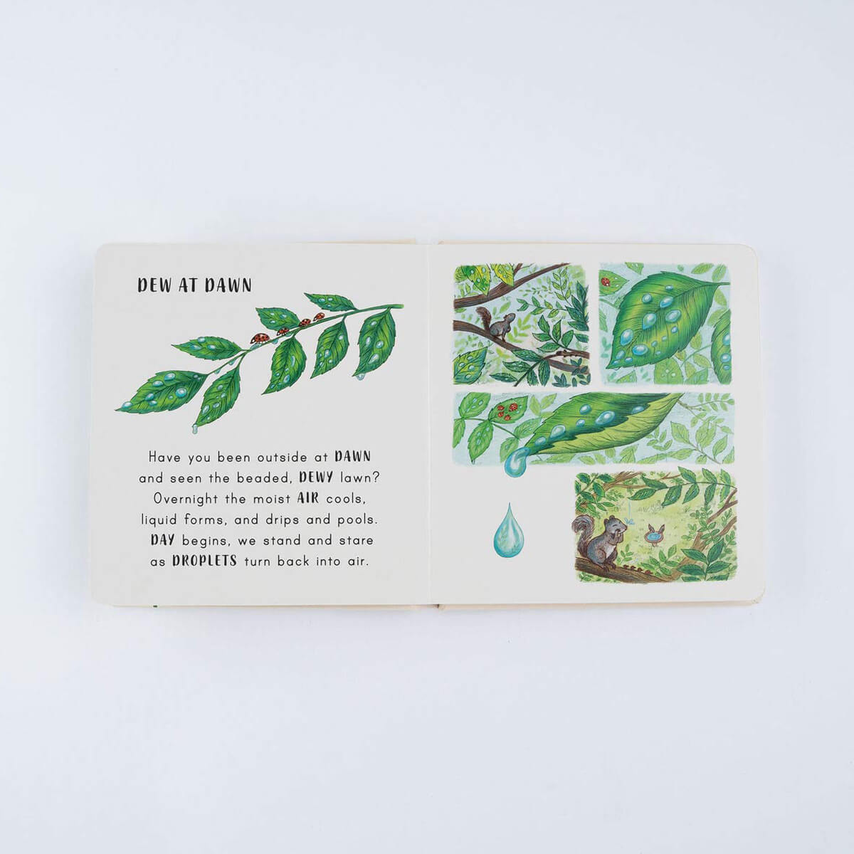 Slow Down… Discover Nature On Your Doorstep by Freya Hartas