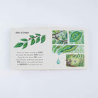 Slow Down… Discover Nature On Your Doorstep by Freya Hartas
