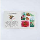 Slow Down… Discover Nature On Your Doorstep by Freya Hartas