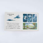 Slow Down… Discover Nature In The Park by Freya Hartas