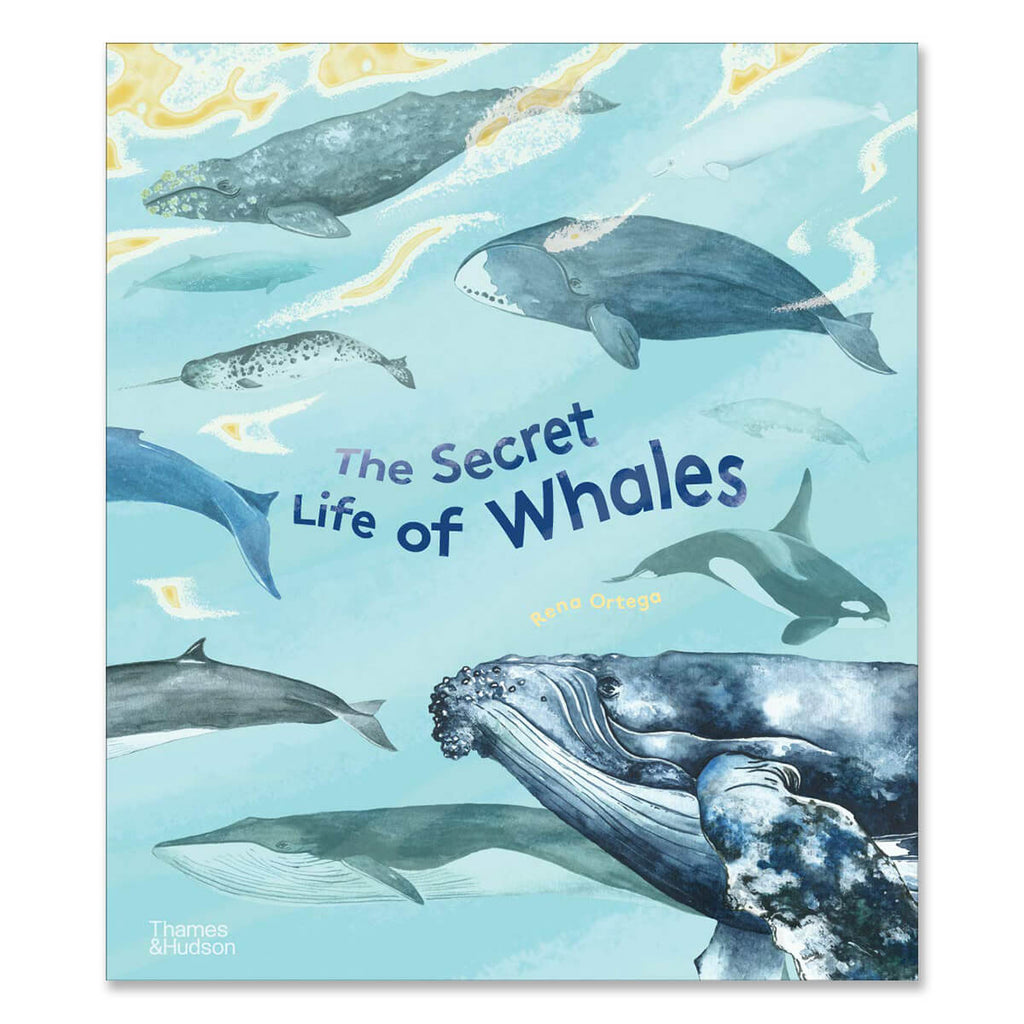The Secret Life of Whales by Rena Ortega